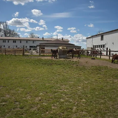 Lejlighed Idylle Auf Dem Reiterhof Bei Husum