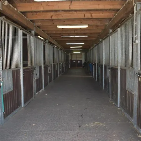 Idylle Auf Dem Reiterhof Bei Husum Witzwort