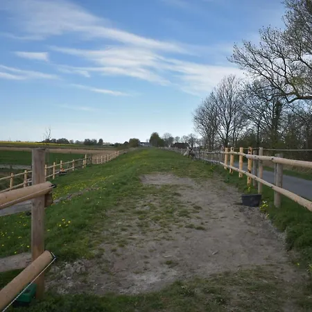 Idylle Auf Dem Reiterhof Bei Husum *