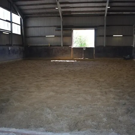 Idylle Auf Dem Reiterhof Bei Husum Apartment Witzwort