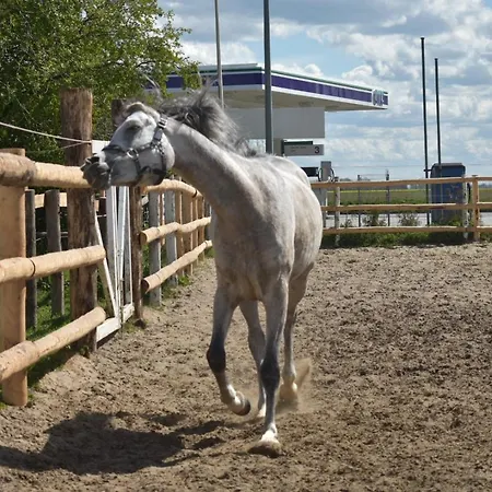 شقة Idylle Auf Dem Reiterhof Bei Husum Witzwort