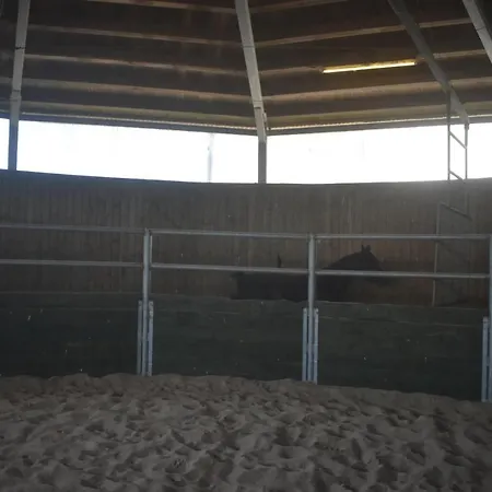 Idylle Auf Dem Reiterhof Bei Husum Apartment