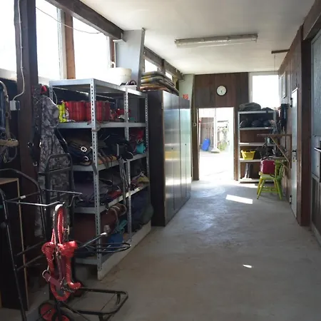 Apartment Idylle Auf Dem Reiterhof Bei Husum