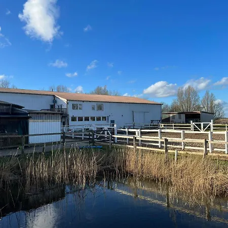 Idylle Auf Dem Reiterhof Bei Husum Witzwort