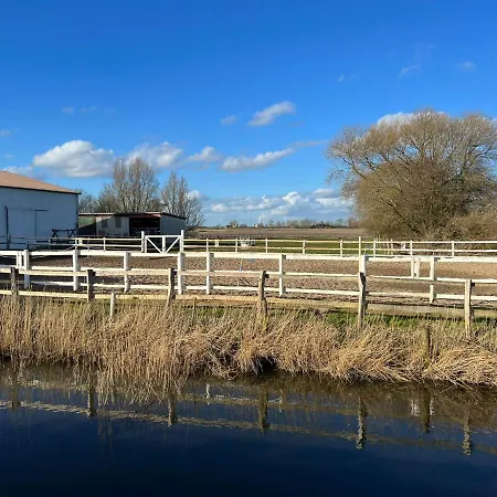 Idylle Auf Dem Reiterhof Bei Husum
